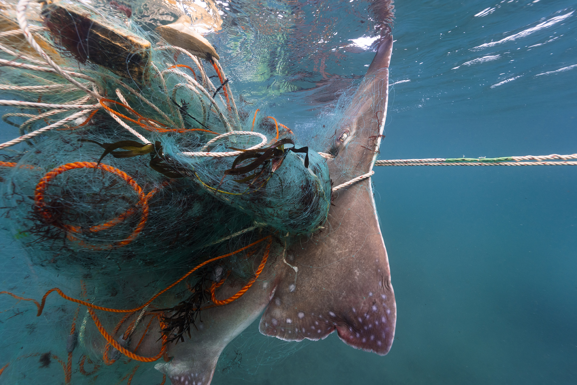 Marine research in the bay